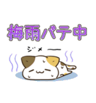 毎日五月病なねこたち 梅雨スタンプ（個別スタンプ：23）
