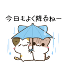 毎日五月病なねこたち 梅雨スタンプ（個別スタンプ：27）