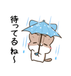 毎日五月病なねこたち 梅雨スタンプ（個別スタンプ：28）