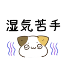 毎日五月病なねこたち 梅雨スタンプ（個別スタンプ：29）