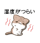 毎日五月病なねこたち 梅雨スタンプ（個別スタンプ：34）