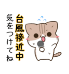毎日五月病なねこたち 梅雨スタンプ（個別スタンプ：36）