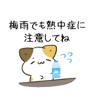 毎日五月病なねこたち 梅雨スタンプ（個別スタンプ：37）