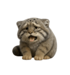 ファット・パラスの猫 （NT） v.1（個別スタンプ：3）