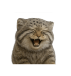 ファット・パラスの猫 （NT） v.1（個別スタンプ：7）