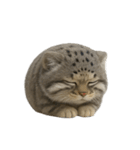 ファット・パラスの猫 （NT） v.1（個別スタンプ：14）