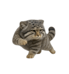 ファット・パラスの猫 （NT） v.1（個別スタンプ：25）