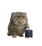 ファット・パラスの猫 （NT） v.1（個別スタンプ：26）