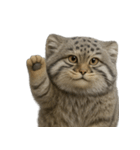 ファット・パラスの猫 （NT） v.1（個別スタンプ：27）
