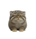 ファット・パラスの猫 （NT） v.1（個別スタンプ：28）