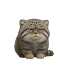 ファット・パラスの猫 （NT） v.1（個別スタンプ：29）