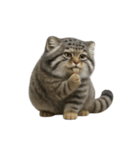 ファット・パラスの猫 （NT） v.1（個別スタンプ：35）