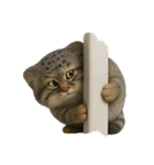 ファット・パラスの猫 （NT） v.1（個別スタンプ：37）