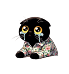 花柄シャツを着た黒猫 （NT） v.1（個別スタンプ：34）