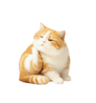 太ったオレンジと白の猫 （NT）（個別スタンプ：1）