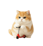 太ったオレンジと白の猫 （NT）（個別スタンプ：2）