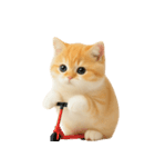 太ったオレンジと白の猫 （NT）（個別スタンプ：3）
