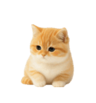 太ったオレンジと白の猫 （NT）（個別スタンプ：6）