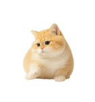 太ったオレンジと白の猫 （NT）（個別スタンプ：18）