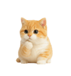 太ったオレンジと白の猫 （NT）（個別スタンプ：19）