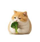 太ったオレンジと白の猫 （NT）（個別スタンプ：20）