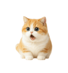 太ったオレンジと白の猫 （NT）（個別スタンプ：21）