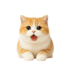 太ったオレンジと白の猫 （NT）（個別スタンプ：27）