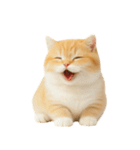 太ったオレンジと白の猫 （NT）（個別スタンプ：28）