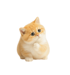 太ったオレンジと白の猫 （NT）（個別スタンプ：30）