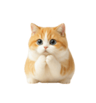 太ったオレンジと白の猫 （NT）（個別スタンプ：34）
