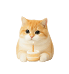 太ったオレンジと白の猫 （NT）（個別スタンプ：36）