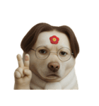面白いハゲ犬 （NT）（個別スタンプ：1）