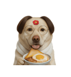 面白いハゲ犬 （NT）（個別スタンプ：4）
