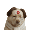 面白いハゲ犬 （NT）（個別スタンプ：5）