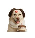 面白いハゲ犬 （NT）（個別スタンプ：6）
