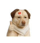 面白いハゲ犬 （NT）（個別スタンプ：7）