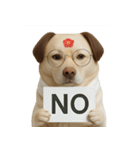 面白いハゲ犬 （NT）（個別スタンプ：9）