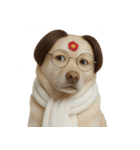 面白いハゲ犬 （NT）（個別スタンプ：10）