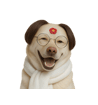面白いハゲ犬 （NT）（個別スタンプ：11）