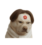 面白いハゲ犬 （NT）（個別スタンプ：12）