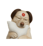 面白いハゲ犬 （NT）（個別スタンプ：13）