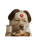 面白いハゲ犬 （NT）（個別スタンプ：15）