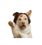 面白いハゲ犬 （NT）（個別スタンプ：16）