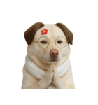 面白いハゲ犬 （NT）（個別スタンプ：18）