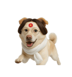 面白いハゲ犬 （NT）（個別スタンプ：19）