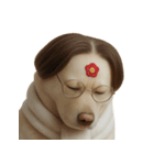面白いハゲ犬 （NT）（個別スタンプ：28）