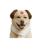 面白いハゲ犬 （NT）（個別スタンプ：30）