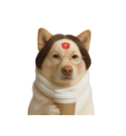 面白いハゲ犬 （NT）（個別スタンプ：32）