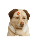 面白いハゲ犬 （NT）（個別スタンプ：33）