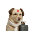 面白いハゲ犬 （NT）（個別スタンプ：35）